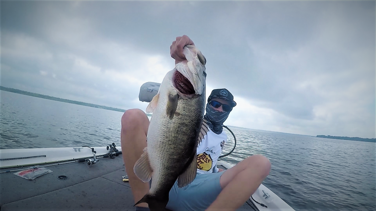 Do Bass Live in Saltwater? Looking into the Biology of Bass