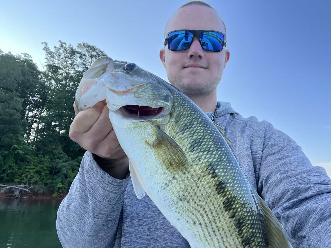 Daily Lake Hartwell Fishing Report for June 15th, 2023 Fishing4Dummies